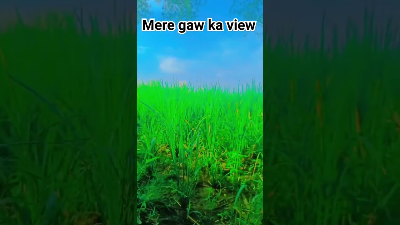 💯❣️💞#mere #gaw ka #view #hai #hitsong #trendingsong#guys #hitsong #youtubeshorts #shorts