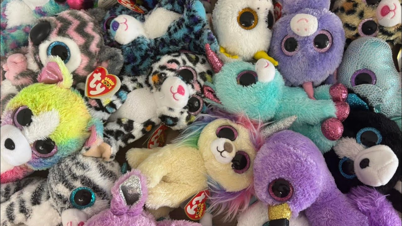 Our Beanie Boo Claire's exclusive collection (chronological order)