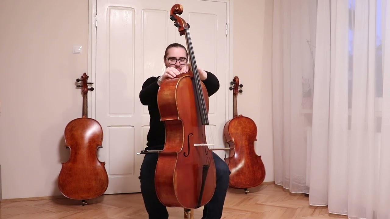 Master Level Cello Antique Style by Vivarius Workshop # 108