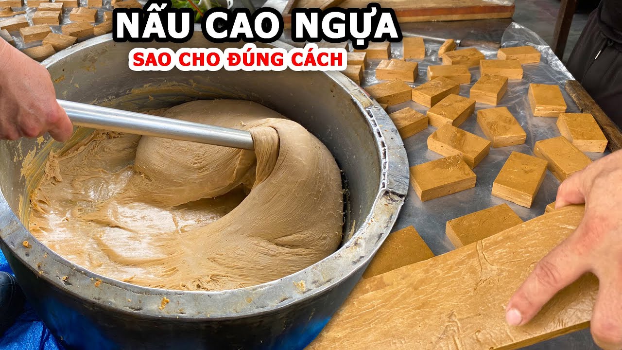 Hóa Ra Đây Là Cách Làm Cao Ngựa - Không Ngờ  Cao Ngựa Còn Có Cả Tác Dụng Này Luôn #odauangi
