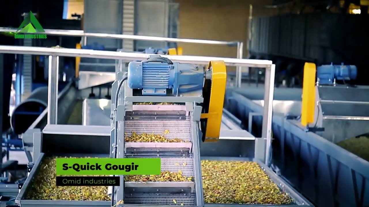 Fully automatic Pistachio Processing Line