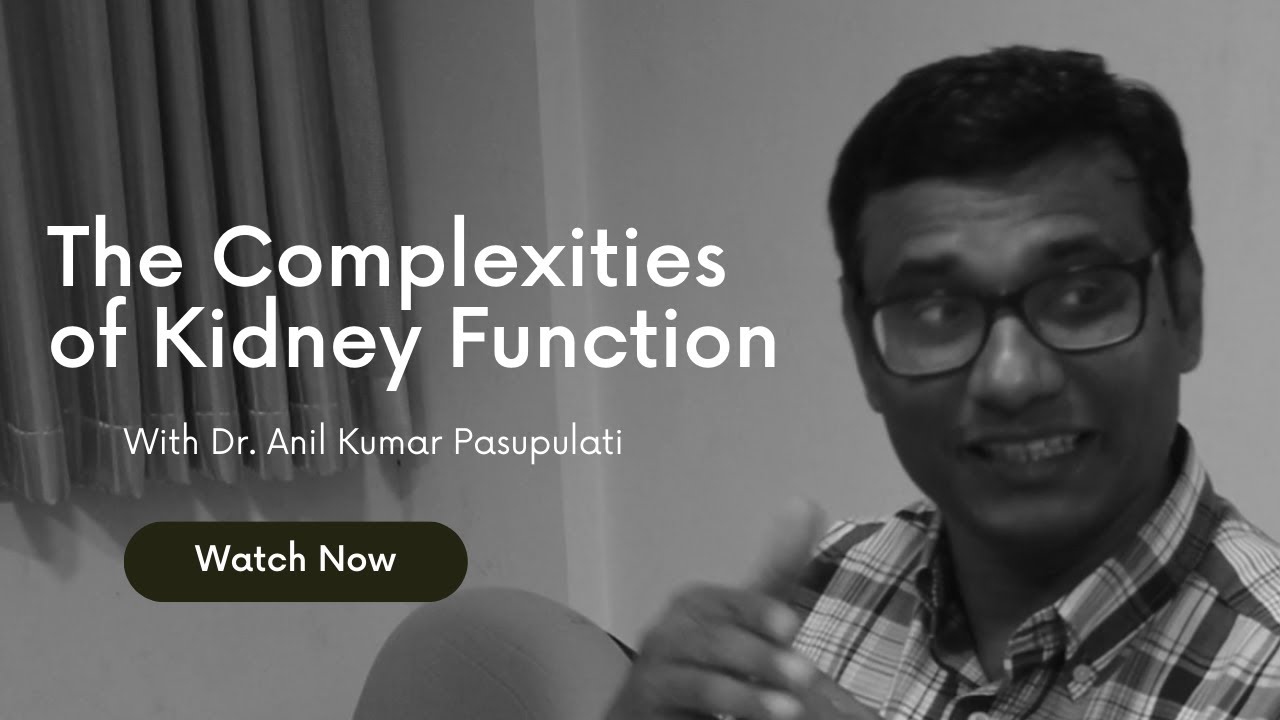 The Complexities of Kidney Function: Understanding Podocytes, High Blood Glucose, and Hypoxia
