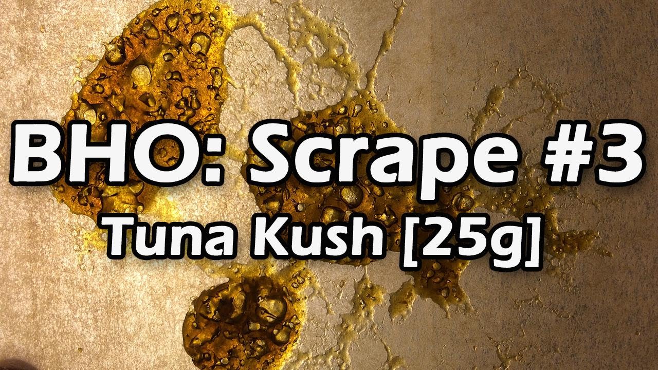 BHO Scrape #3: Tuna Kush BHO Scrape!!!!