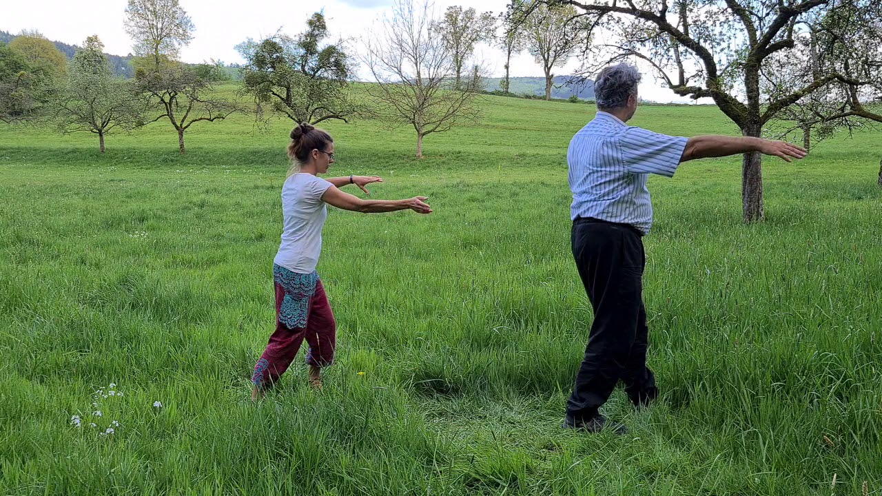 Tai Chi Yang-Stil Kurzform 12 - Komplette Form