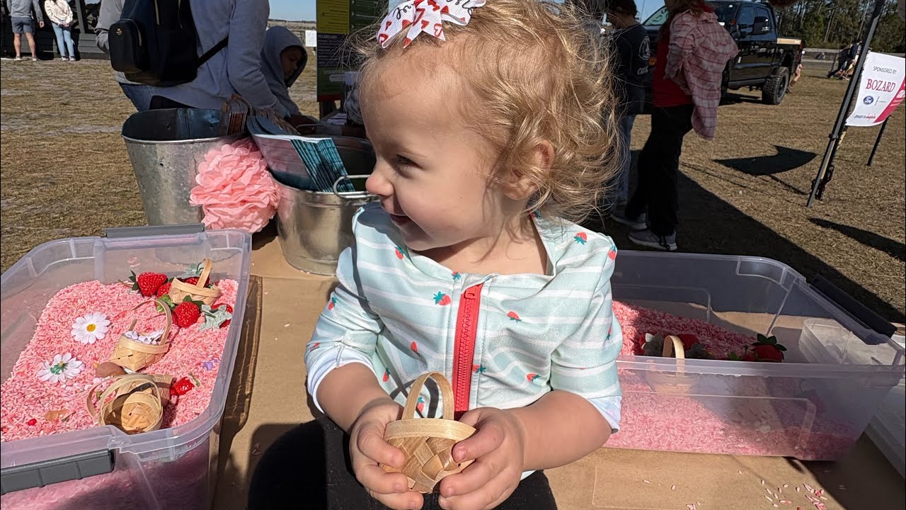Strawberry festival at Wesley Wells Farm St Augustine 🍓 02/07/26