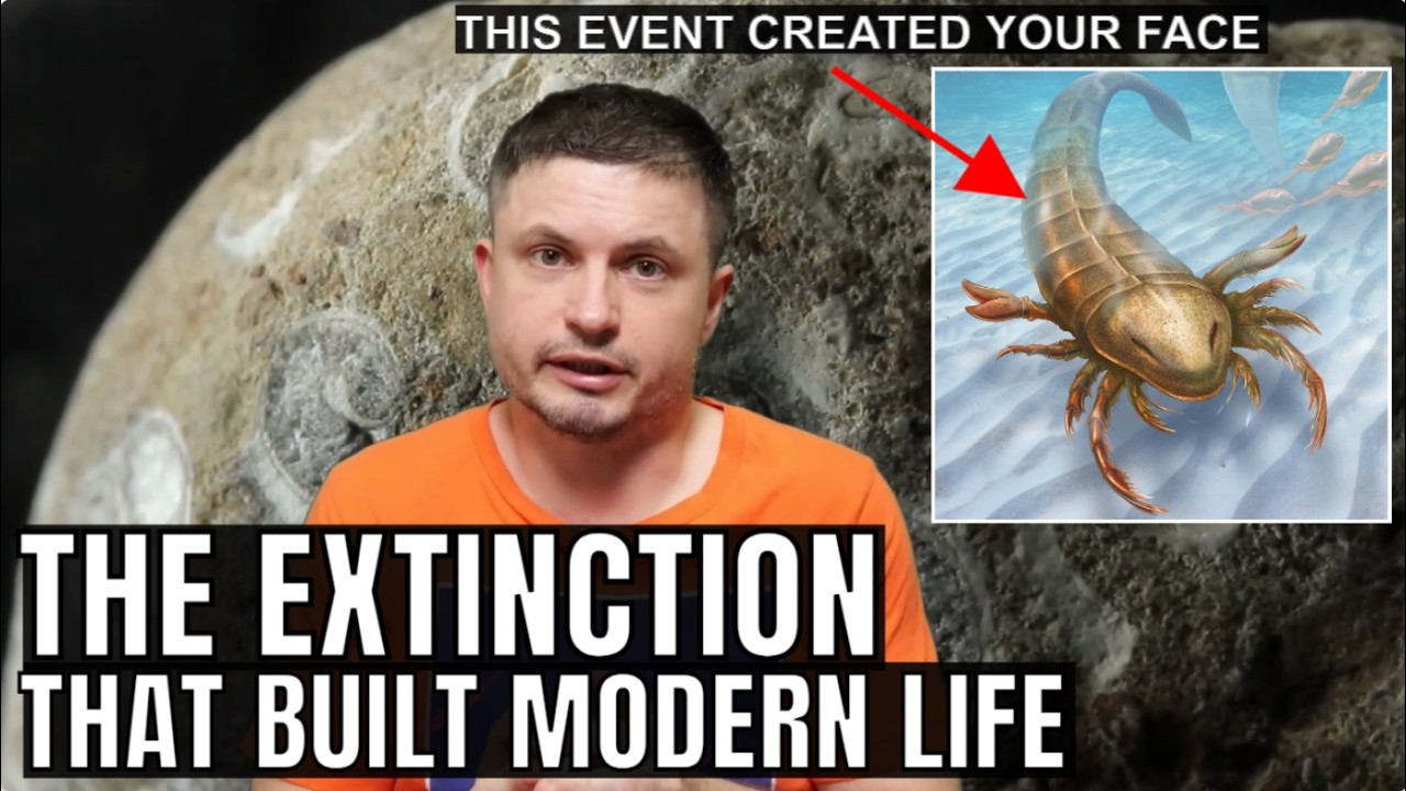 How Life Changed on Earth After an Extinction Event 450 Million Years Ago