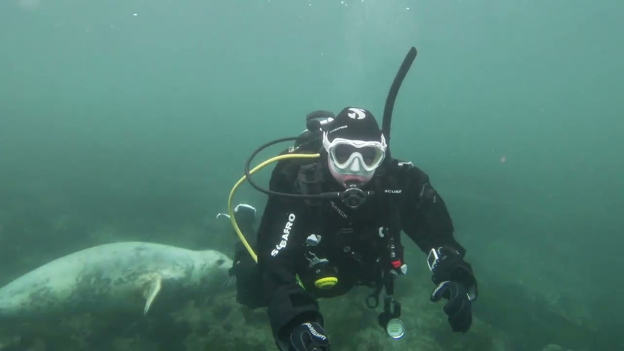 Diving with Seals at the Farne Islands UK