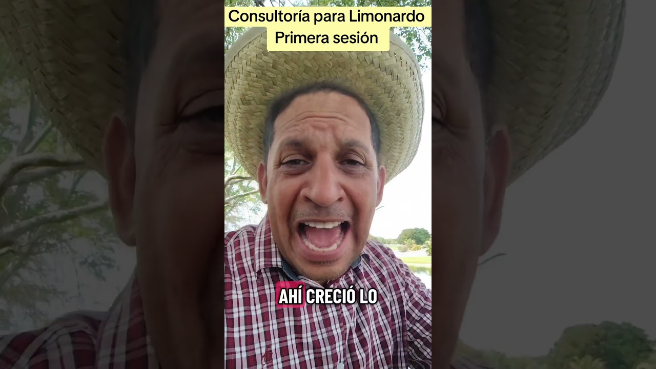 Consultor&iacute;a para Limonardo #patriayvida #diazcanelsingao #soscuba #cubanosenmiami #cubaestadofallido