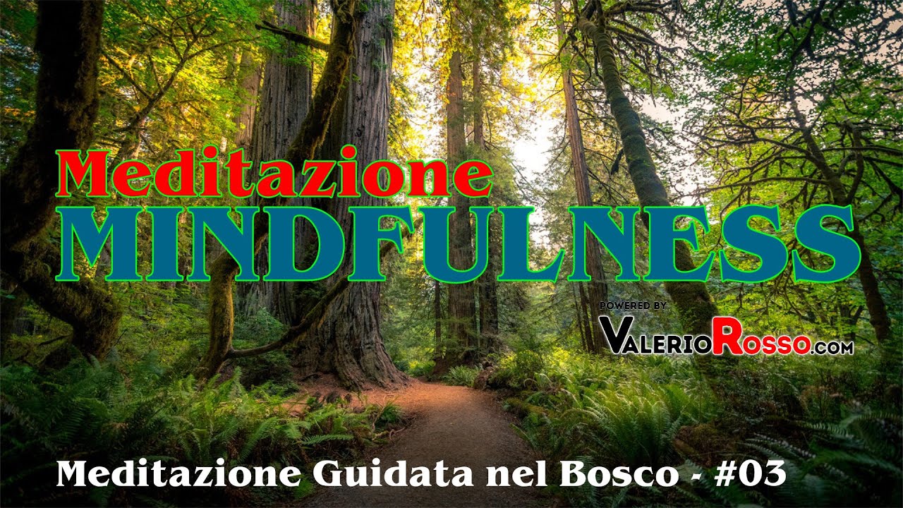 MINDFULNESS: Meditazione Guidata nel Bosco - #03