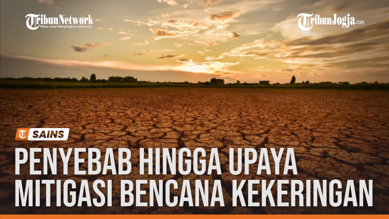 BENCANA KEKERINGAN, PENYEBAB HINGGA UPAYA MITIGASINYA