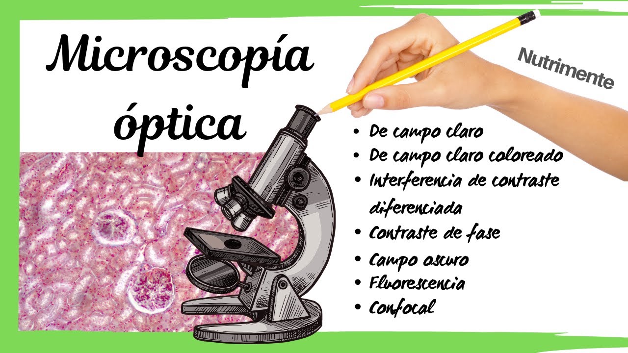 Microscopía ÓPTICA - Tipos de microscopios y examen de un preparado histológico