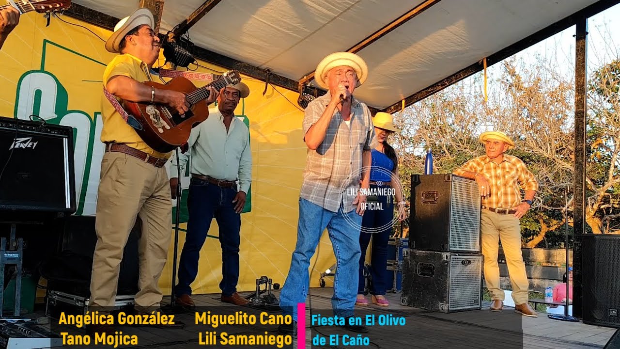 Lili Samaniego, Tano Mojica, Miguelito Cano y Angélica González. Mesano. El Olivo de El Caño, 2025.