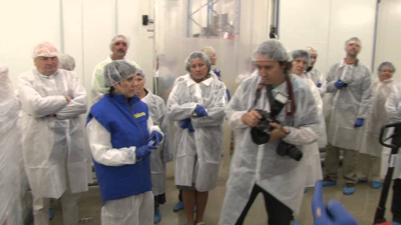 MAKRO - platforma pro zpracování a distribuci čerstvých ryb v Čakovicích