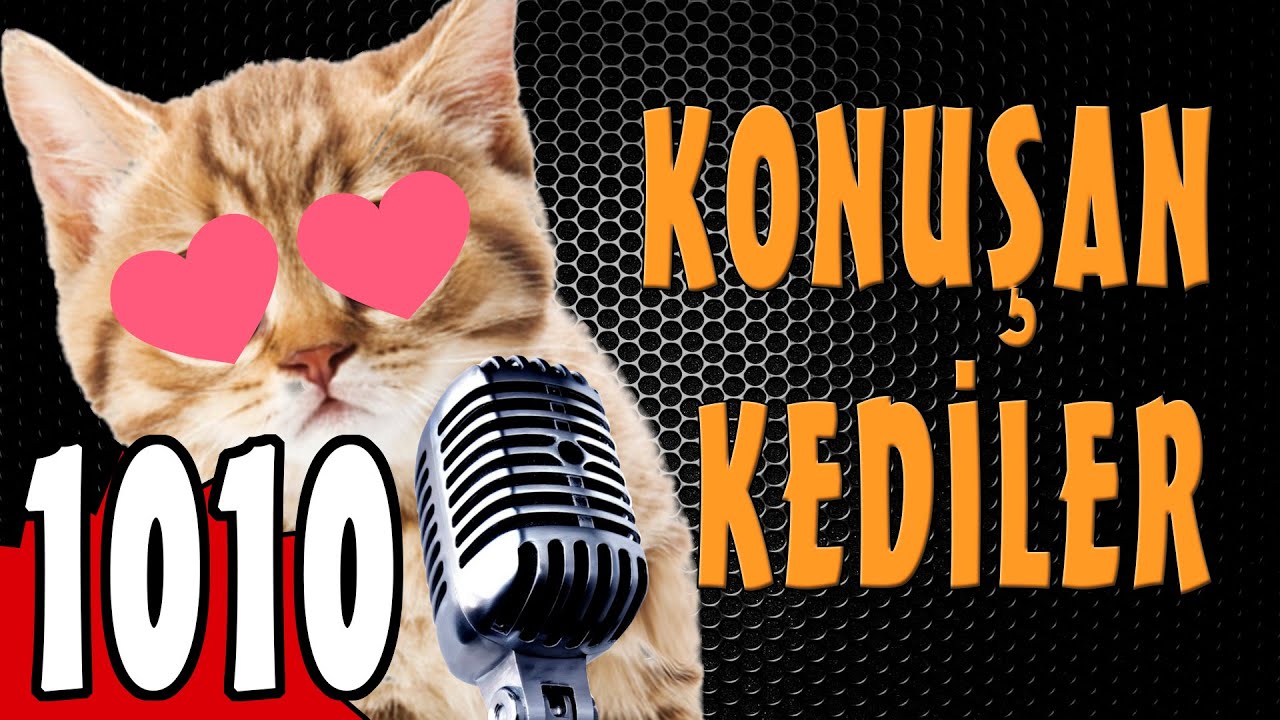 Специальный выпуск ко Дню матери — Talking Cats 1010 — Новый эпизод