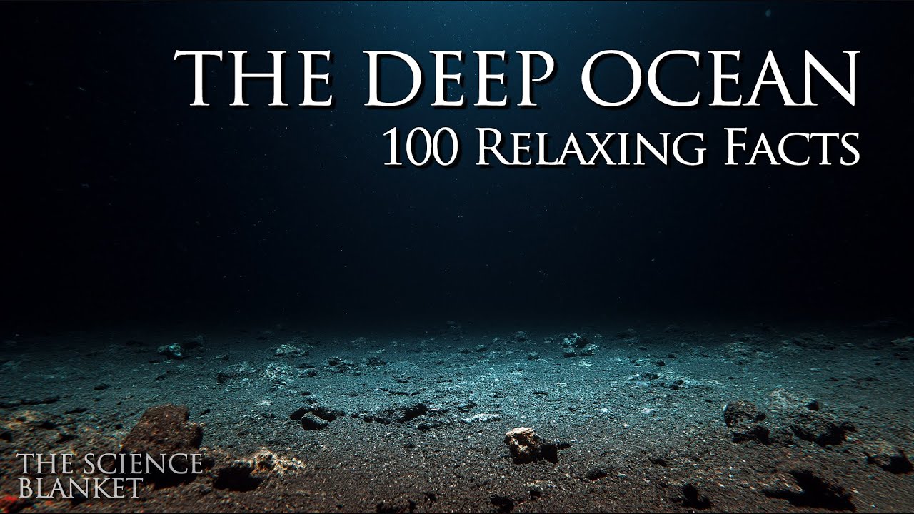 The Deep Ocean | Science For Sleep