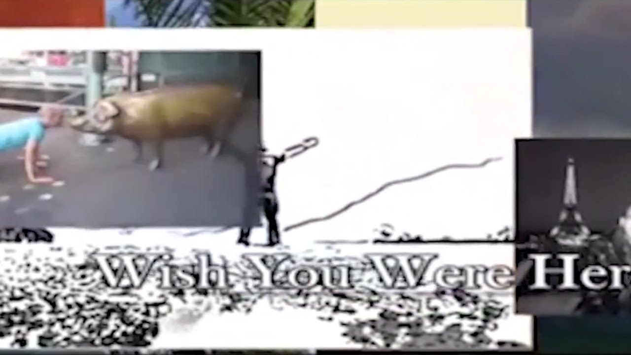Wish You Were Here: Episode 5 (Season Finale)