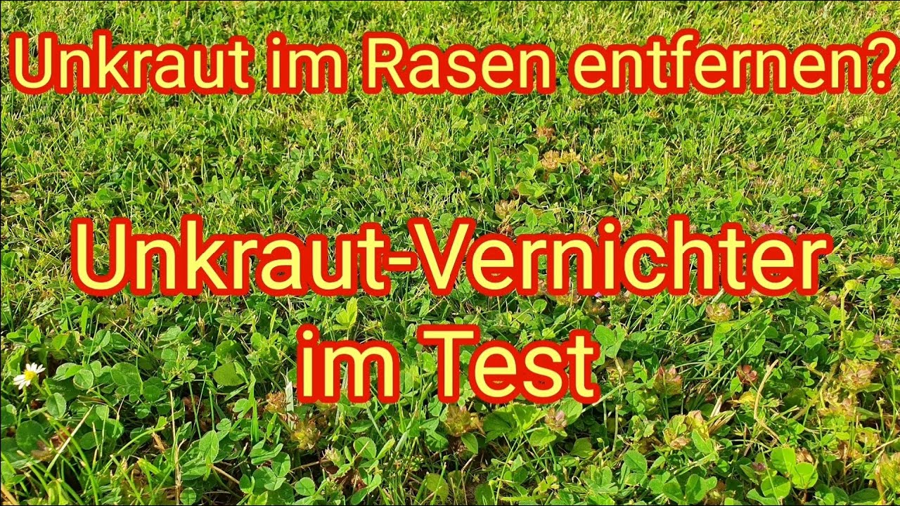 Unkraut und Klee im Rasen entfernen? Compo Rasenunkraut-Vernichter im Test