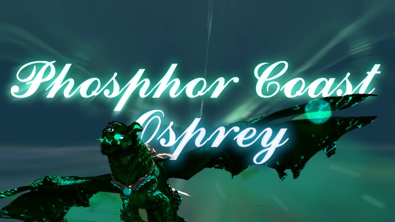 Phosphor Coast Osprey griffon skin (Should you buy it?)