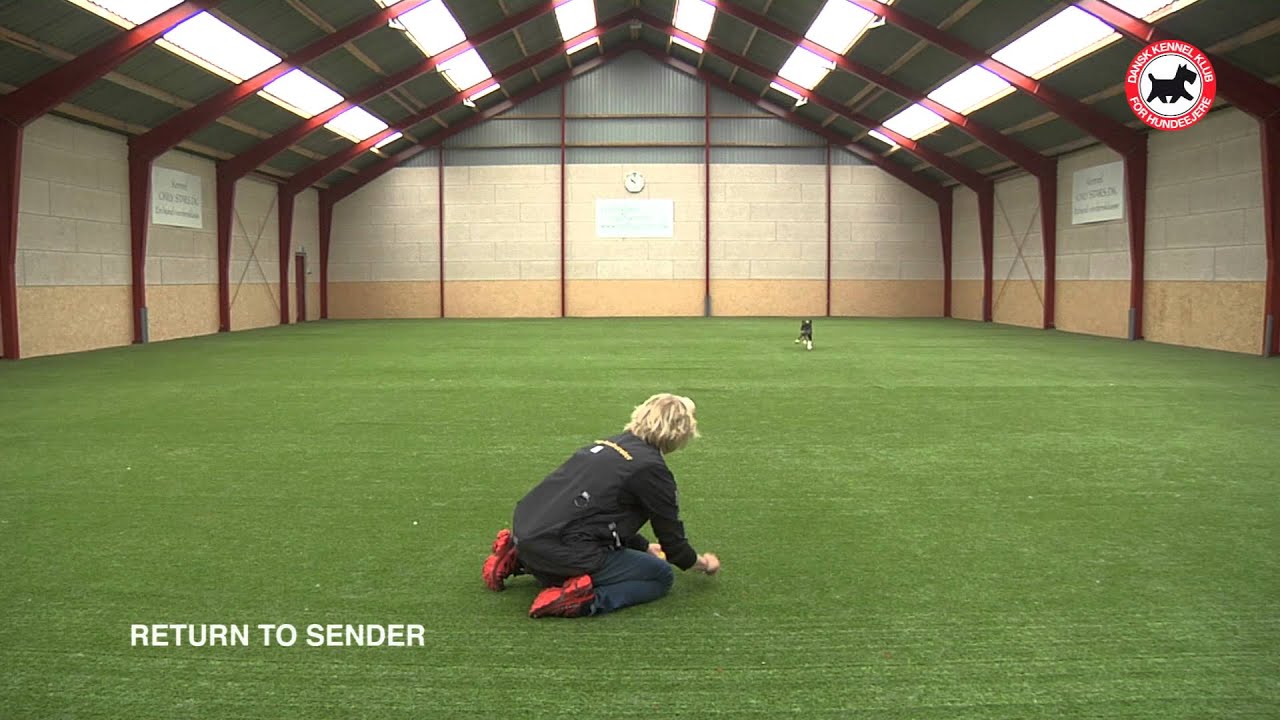 DKK 01 Bel&oslash;nnings&oslash;velser