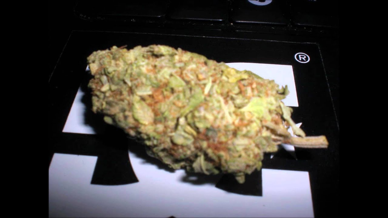 Lemon Haze (Lemonade Instrumental) - 1 Shot Spitune & Flagon