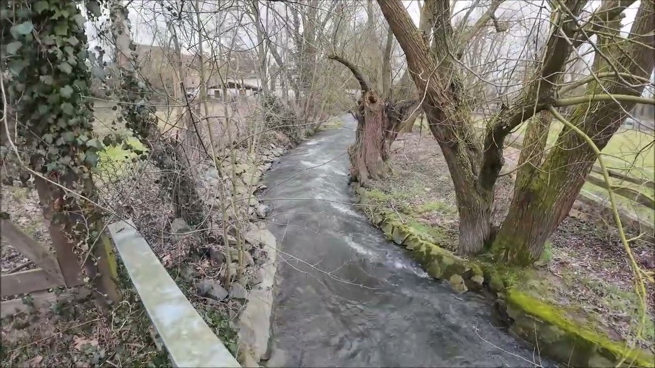 Kleine Wanderung am Urselbach und durch die Felder am 15.02.26