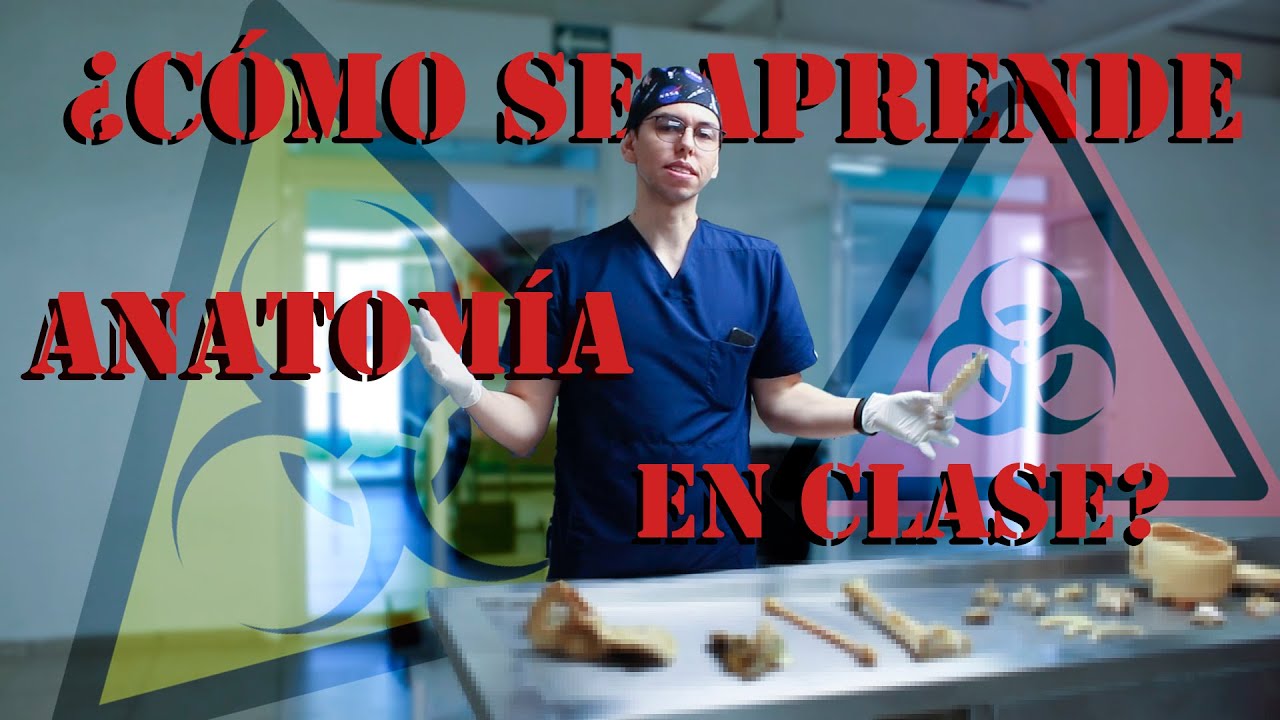 ¿Cómo enseñan ANATOMIA en la escuela de MEDICINA? | Dr Polo Guerrero
