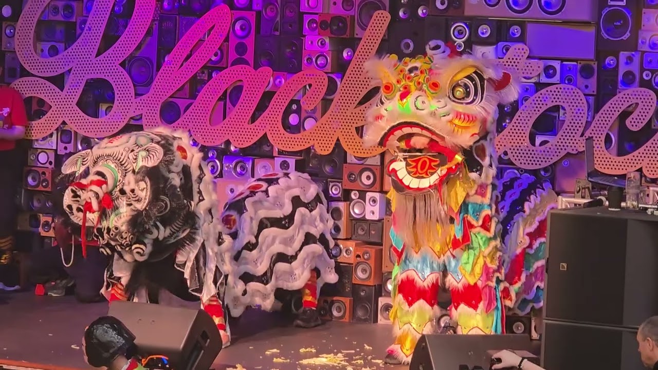 The lion deliver the New Year's couplets in Liverpool Black Stock Market🦁🧧
