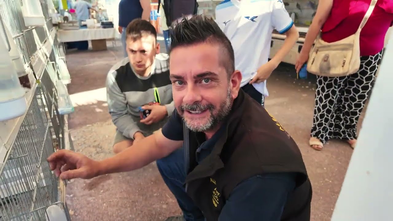 Fiera di Animali a Osteria Nuova 1 06 2025 � Pappagalli, Quaglie e Acquisti Sorprendenti!