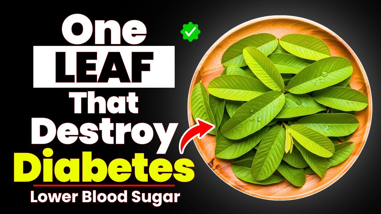 1 Leaf That LOWERS Blood Sugar, MELTS Fat & CLEARS Arteries FAST! (Doctors Shocked)