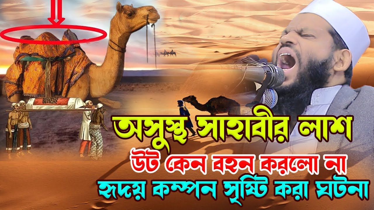 অসুস্থ সাহাবীর লা-শ উট কেন বহন করল না,ক্বারী সাইদুল ইসলাম আসাদ,qari saidul islam asad,bangla waz