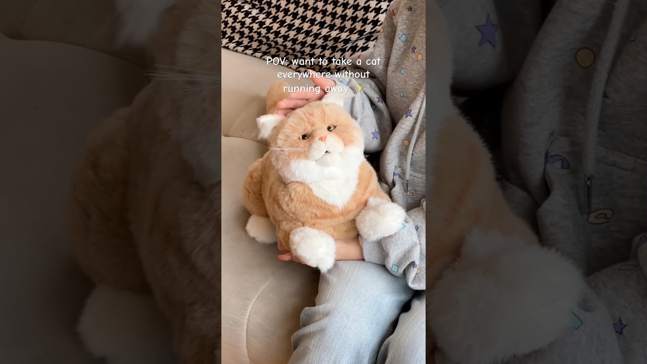 Идея подарка: котенок! #chongker #cat #robotanimal #robotcat #chongkerplush