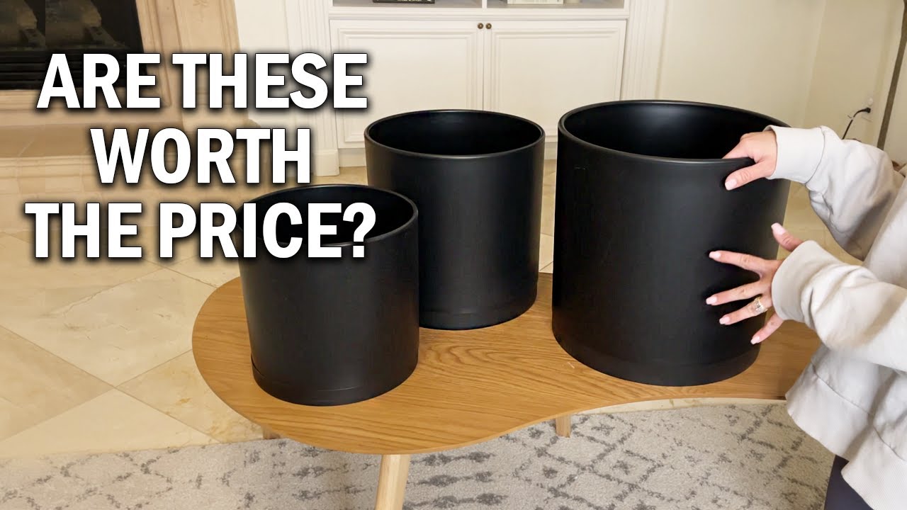 D'vine Dev Plastic Planter Review - Are These Worth The Price?