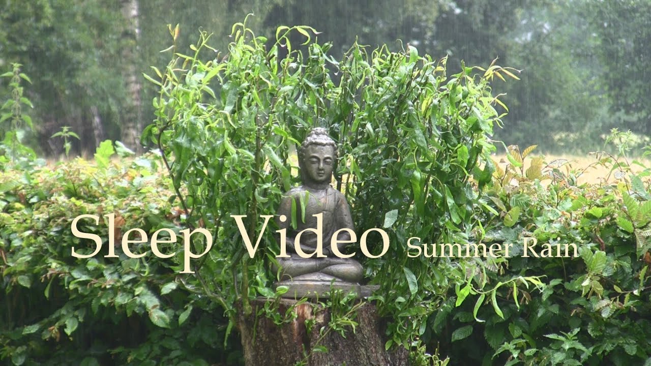 Summer Rain - Sleep Video - 60mins Nature Sound - Relaxation & Restful Sleep
