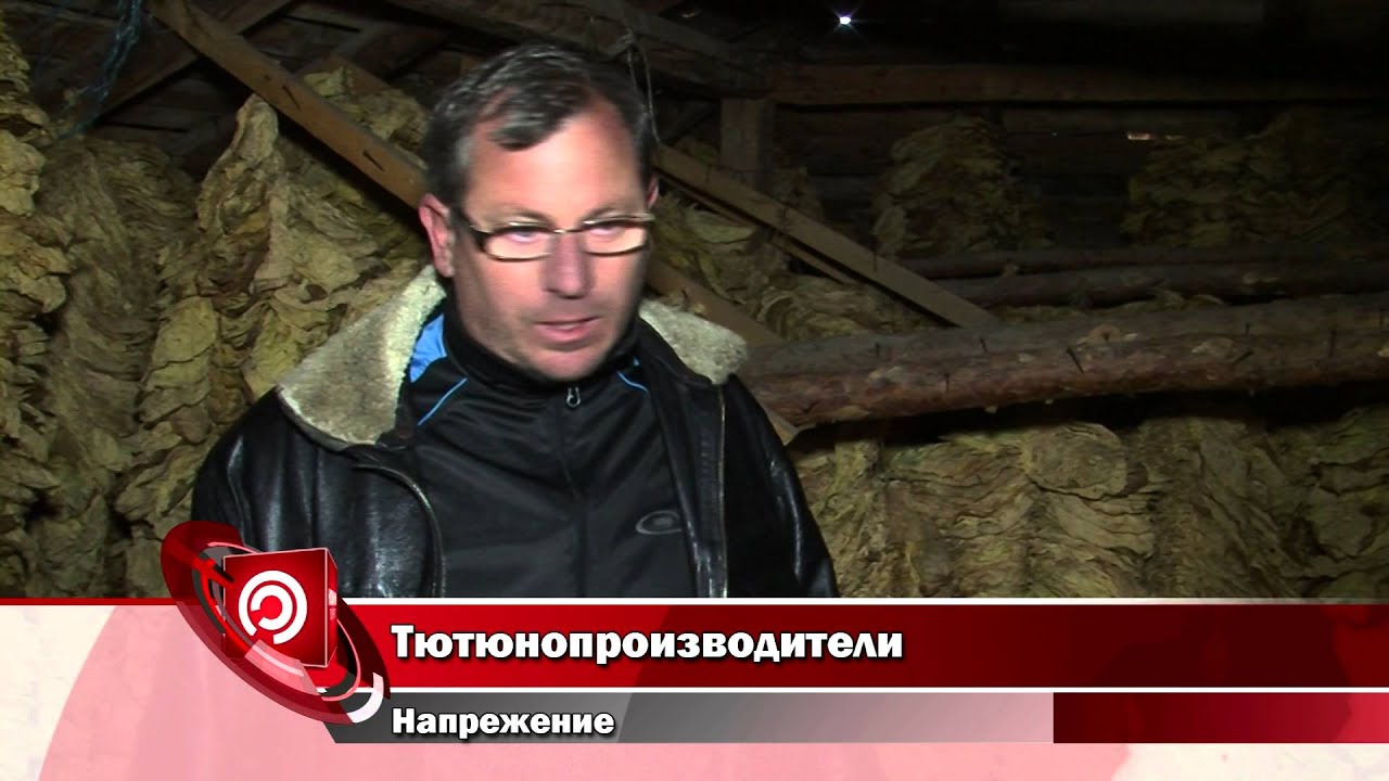 Тютюнопроизводители - напрежение