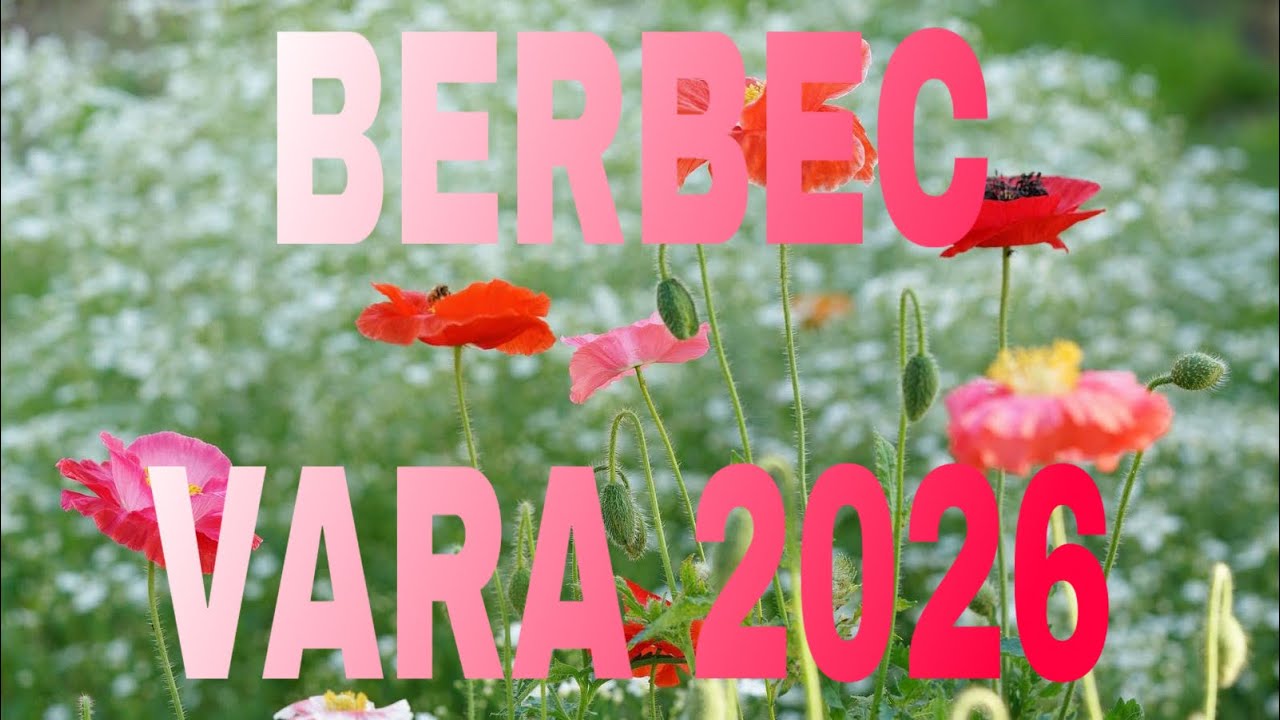 BERBEC♈VARA 2026 NIMENI NU MAI POATE SĂ-ȚI ÎNȘELE AȘTEPTĂRILE✨SOLUȚIA INTELIGENTĂ E A TA 🧠