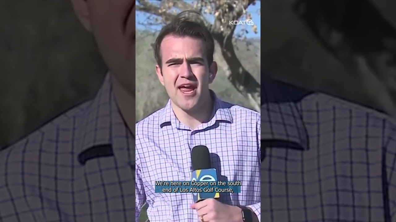 Deadly plane crash at golf course in Albuquerque #news #newmexico
