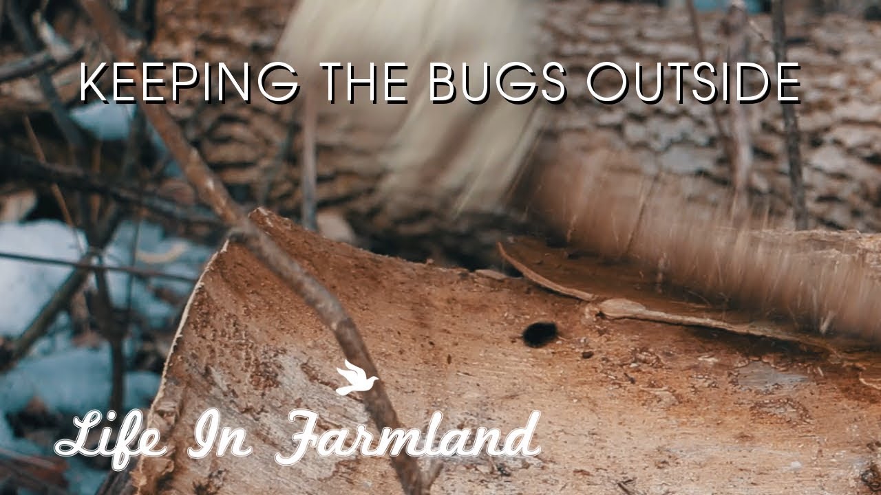 Tips On Keeping Bugs Out Of Your Firewood - WHW - EP:19