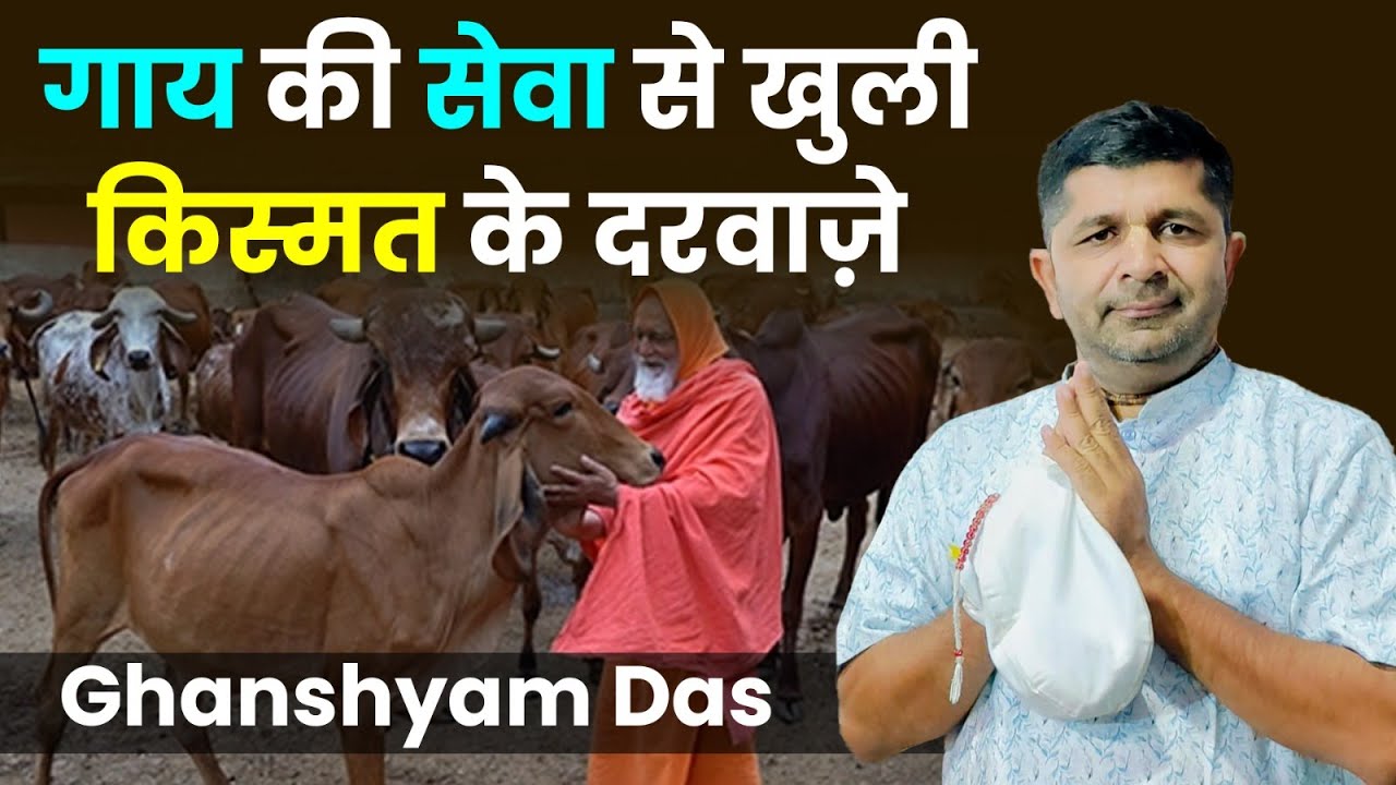 आज हजारों लोगों तक पंहुचा रहे हैं Sudha Ghee और Ahimsa दूध की मिठास, Ghanshyam Das जी से मिलें