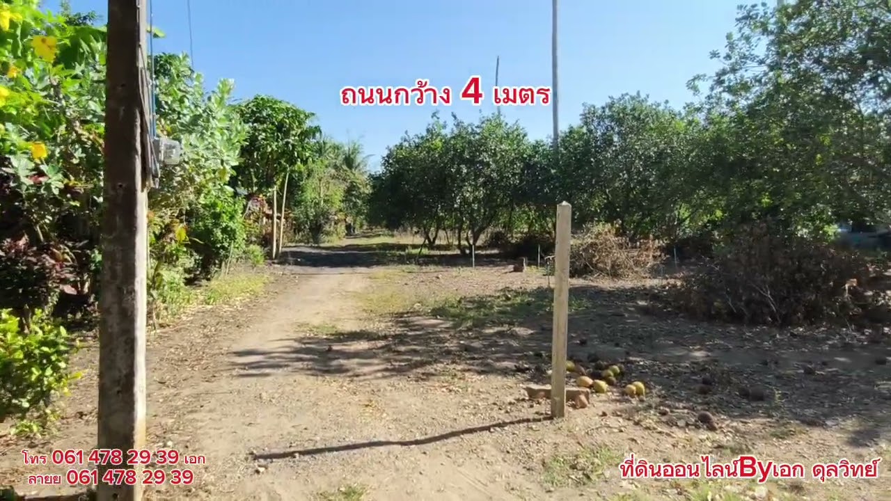 Ep.337 สวนส้มโอ แบ่งขาย โฉนด 2 ไร่ ต.ไทรโยค อ.ไทรโยค จ.กาญจนบุรี ขายไร่ละ 5 แสนบาท