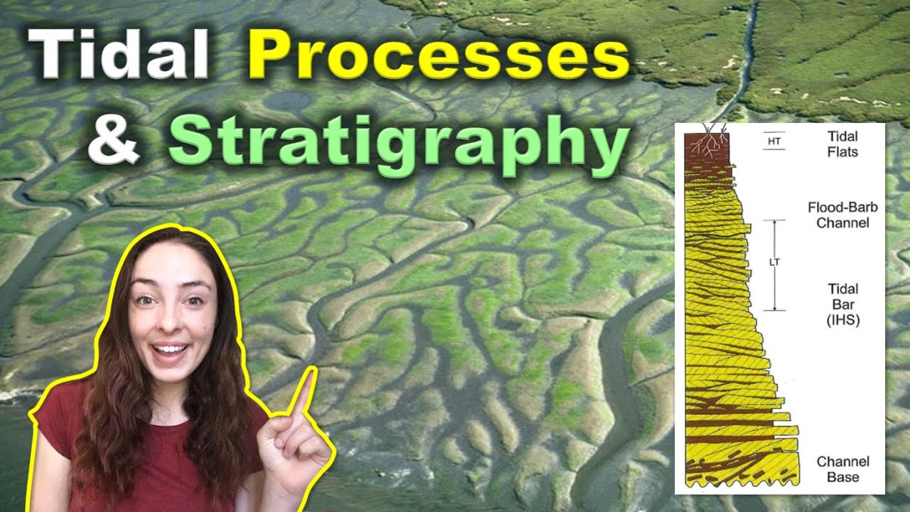 Приливные условия осадконакопления и стратиграфия | GEO GIRL