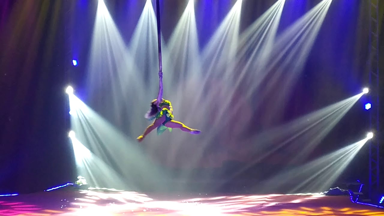 Laureys aerial straps