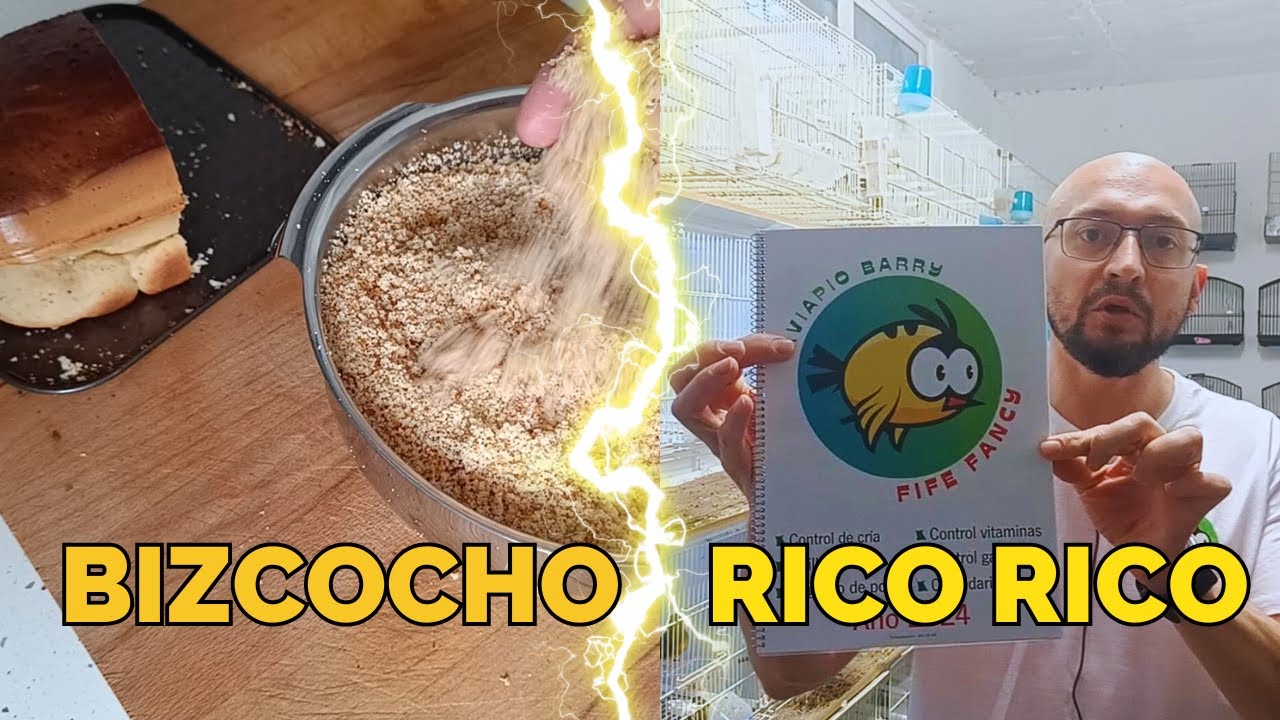 ¡Haz éste bizcocho a tus canarios!