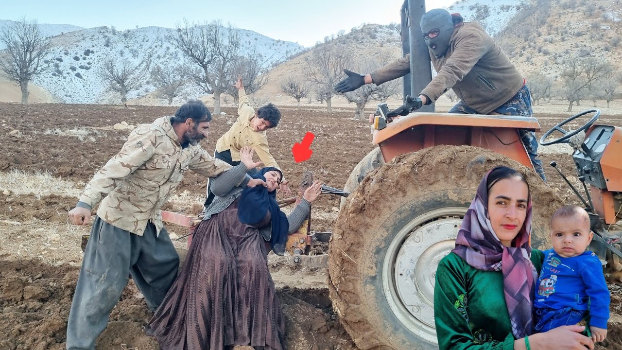 Afshin's stepmother rushes to inherit from the professor during the wheat growing season 
