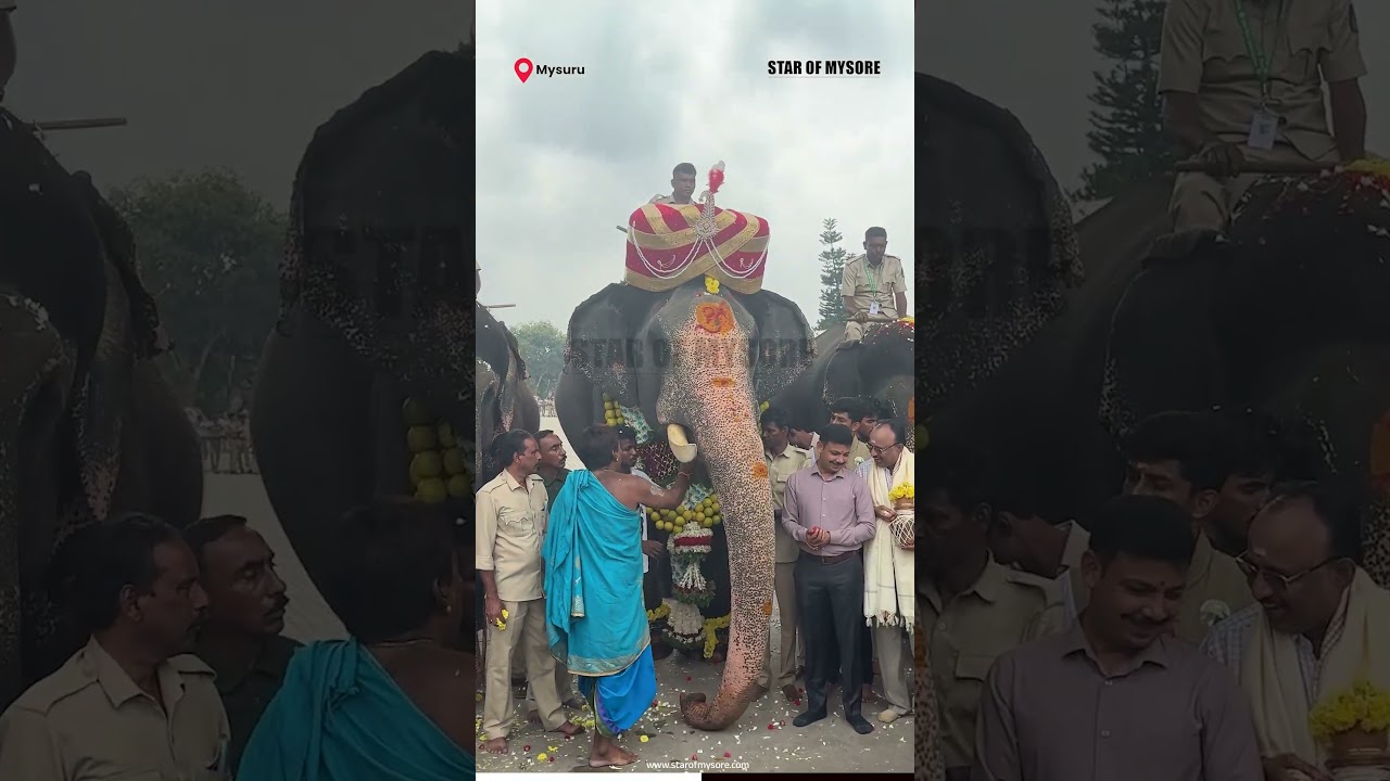 Abhimanyu Arrives in Mysuru | Star of Mysore