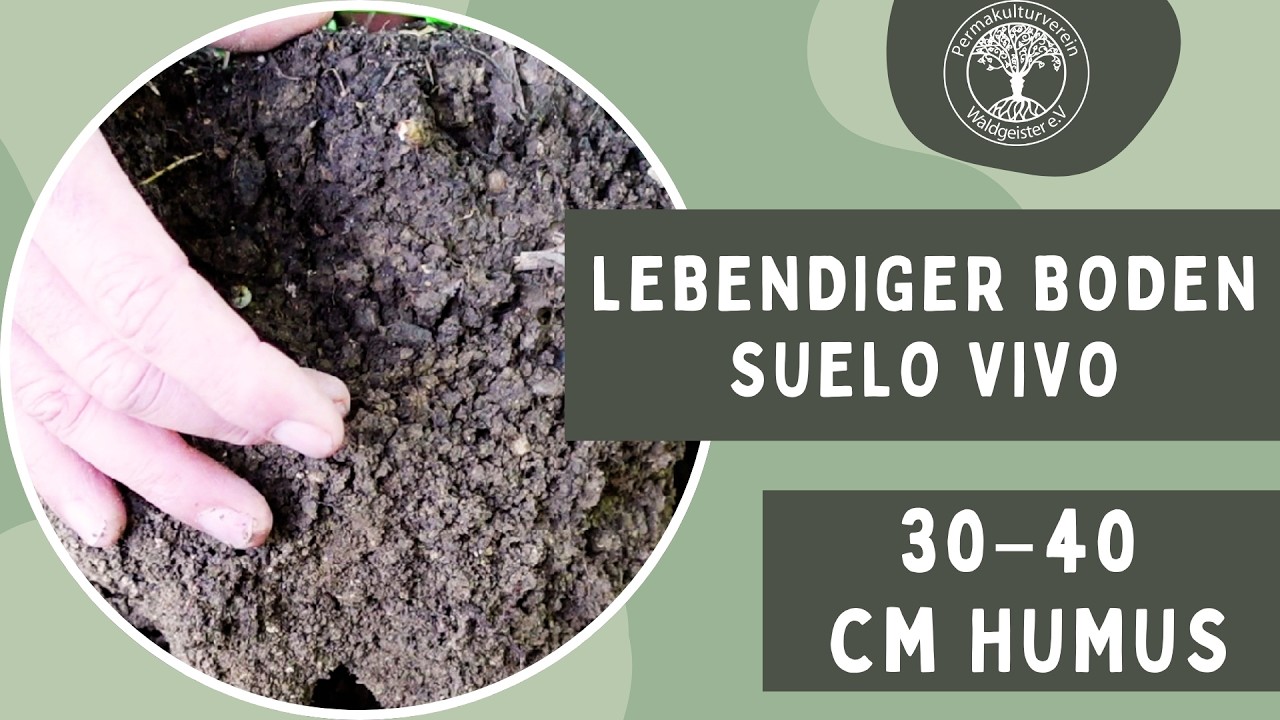 30 cm Liebe unter unseren Füßen – 30 cm de vida en el suelo de Andalucía