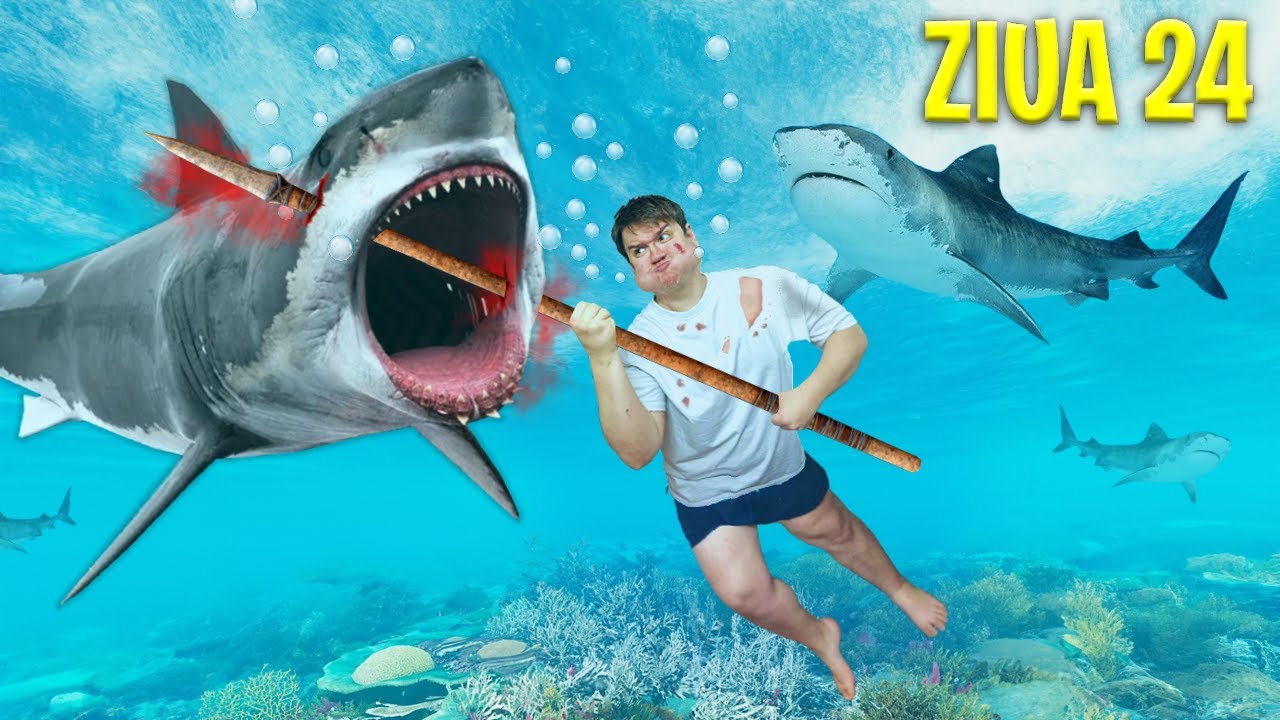 Am VANAT RECHINI in OCEAN