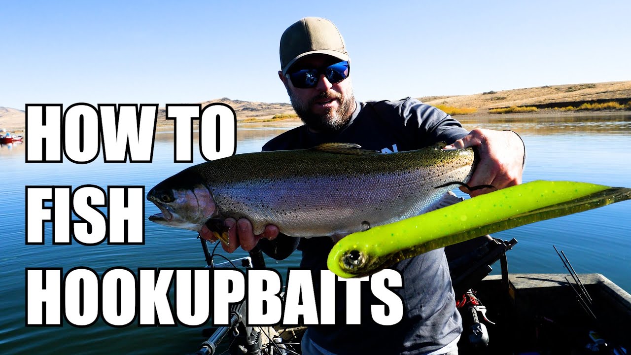 EVERYTHING YOU NEED TO KNOW ABOUT WORKING HOOKUPBAITS