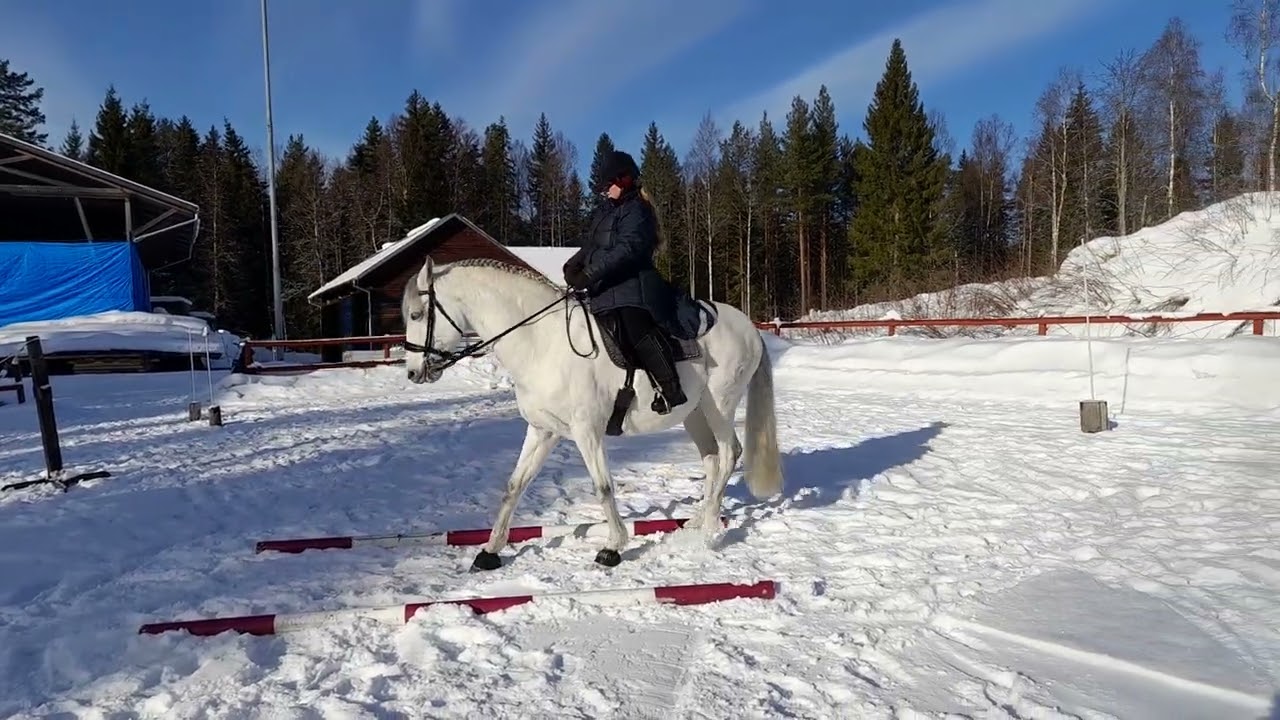 Lisa & Sirio, vintercupen delcup 4, WE LB teknik (utan galopp pga underlaget)