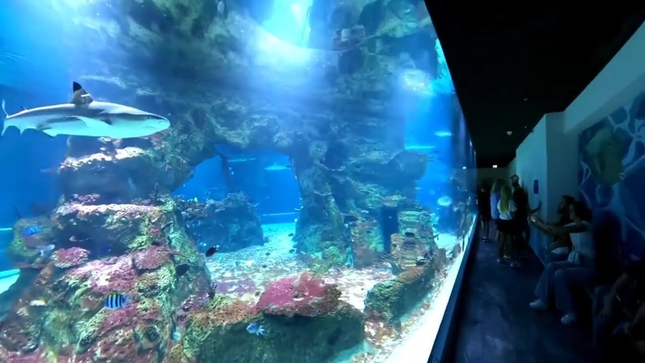 Aqua Terra Zoo Is More Than an Aquarium! (Haus des Meeres) - Vienna, Austria