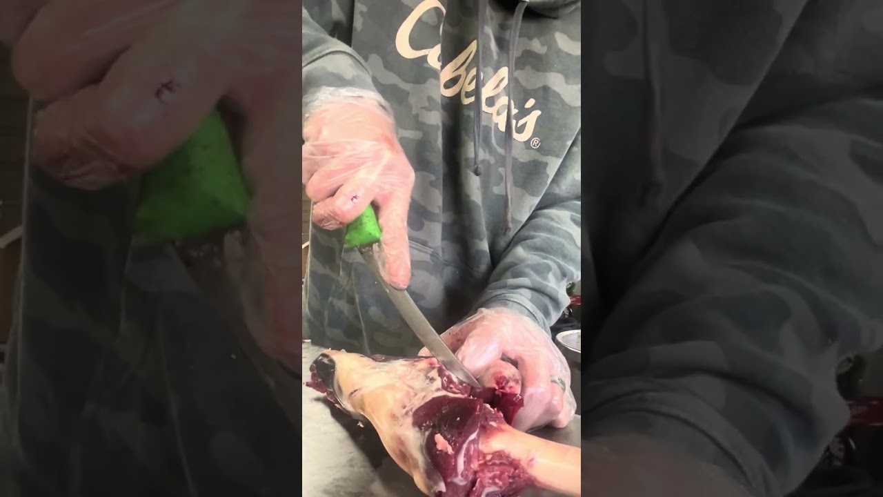 How to break down a deer HQ